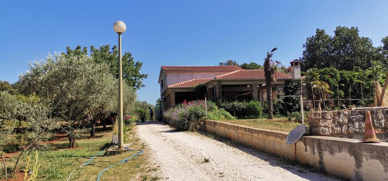 House Olly Casa vacanze