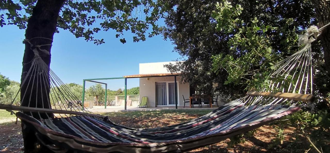 House Olly Casa vacanze Rovigno