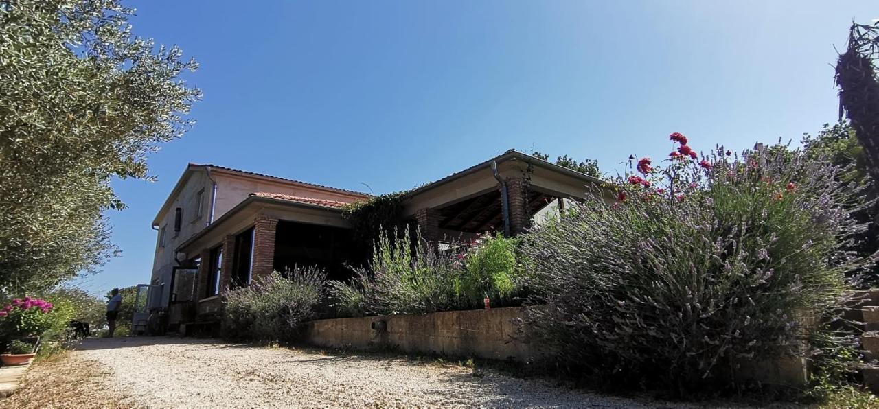 House Olly Casa vacanze